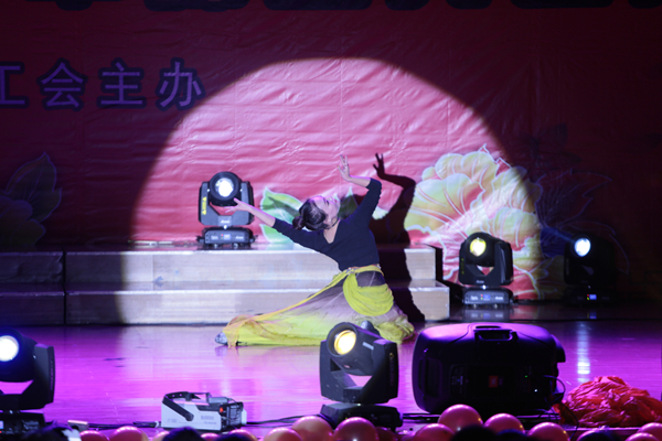 器乐舞蹈《伊人如梦》